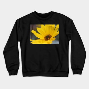 Floral Sunshine Crewneck Sweatshirt